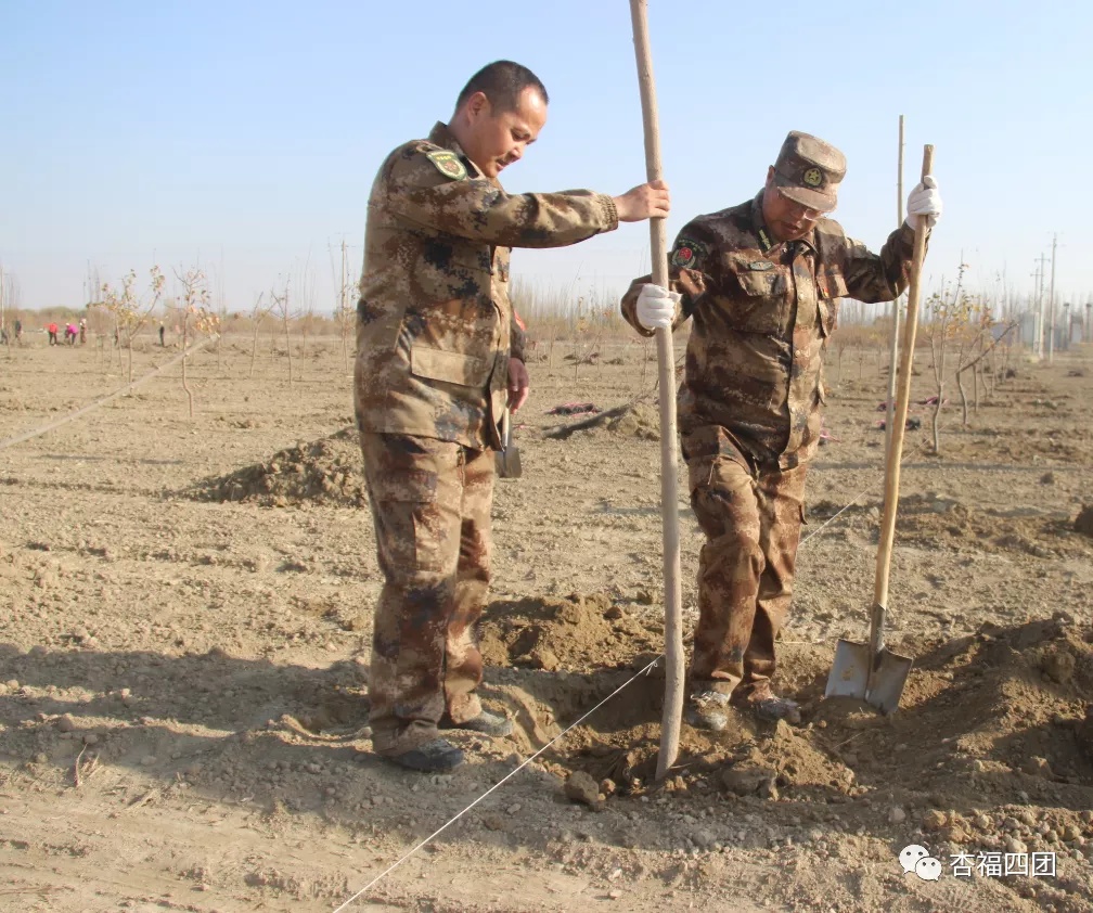 四團開展2020秋季義務植樹活動