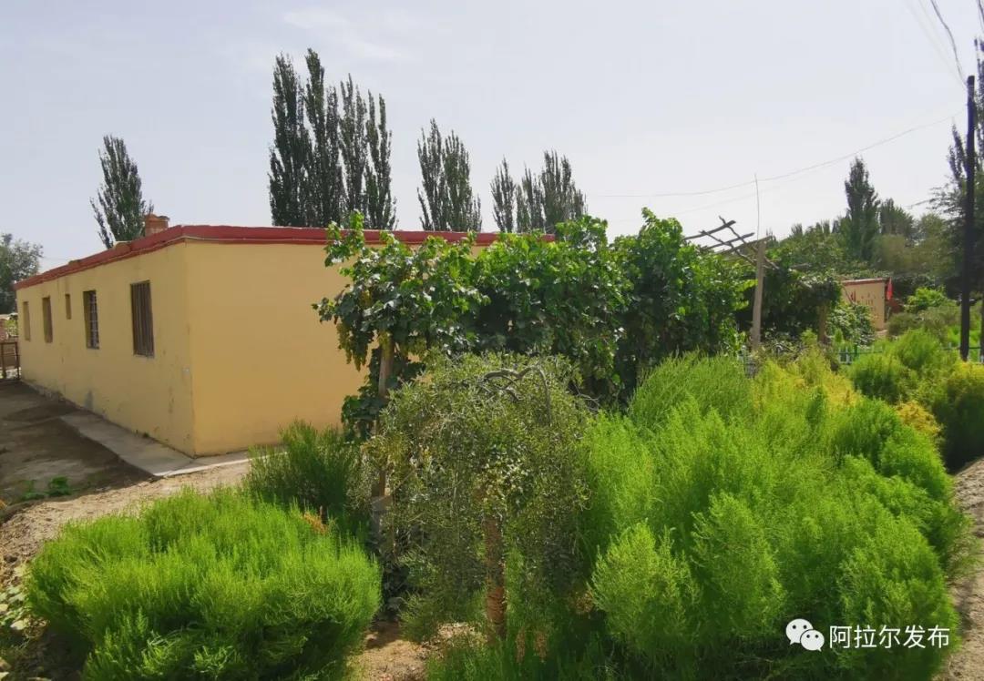 村民的生活比蜜甜