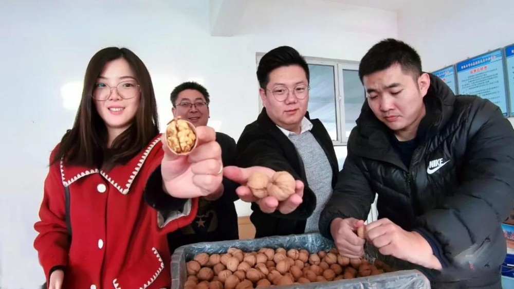 三團的核桃，被一群年輕人“盯上”了