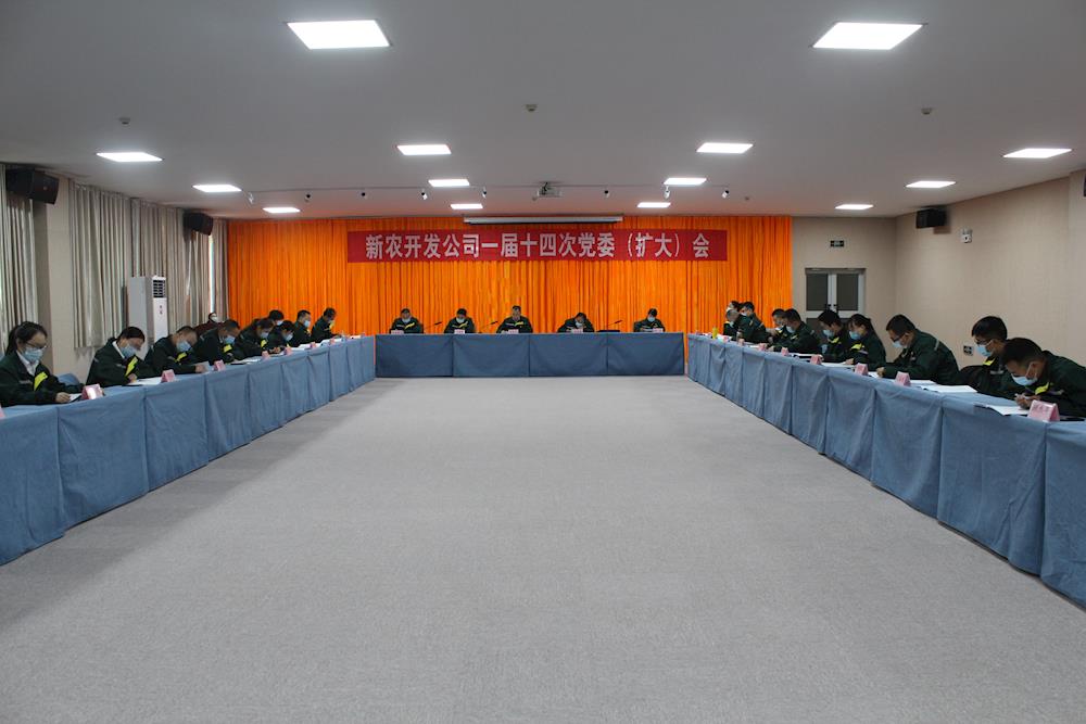 新農開發公司召開一屆十四次黨委（擴大）會議