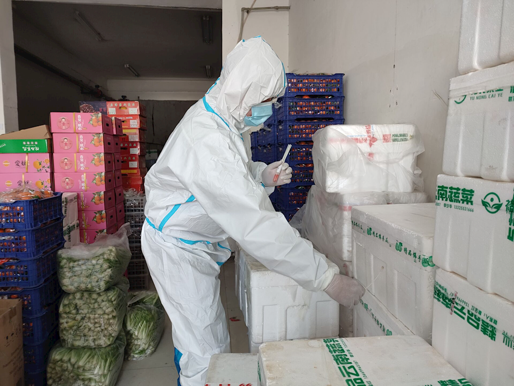 聚焦民生 踐行擔當 供銷九鼎全力以赴做好阿拉爾市蔬菜價格平抑