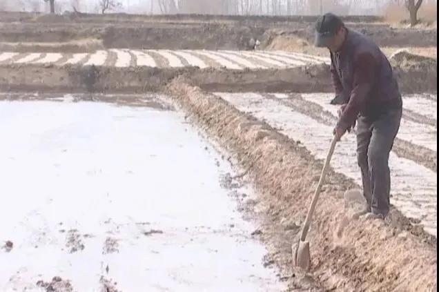 人勤春來早 春灌正當時