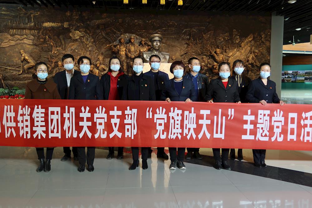供銷集團機關黨支部開展“黨旗映天山”之  “學習強國 文化興企”主題黨日活動
