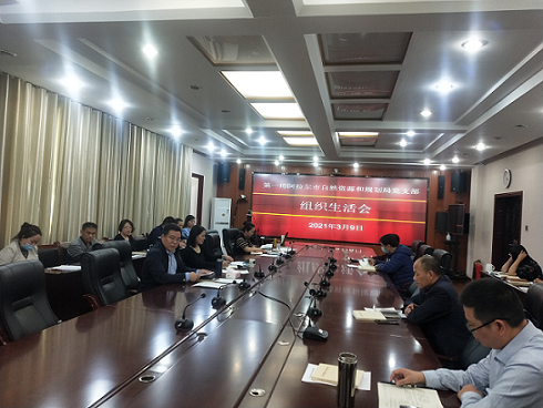 師市自然資源和規劃局黨支部召開2020年度組織生活會暨民主評議黨員大會