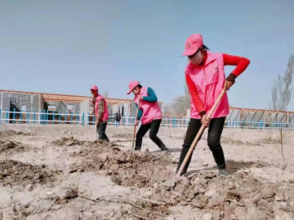 十四團(tuán)九連開(kāi)展“巾幗綠色行動(dòng)，創(chuàng)建美好家園”義務(wù)植樹(shù)活動(dòng)