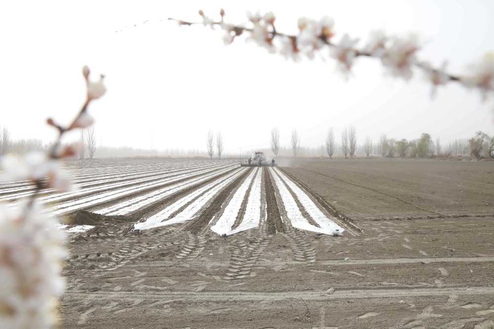 不負(fù)陽春好時(shí)光 春耕春播勞作忙