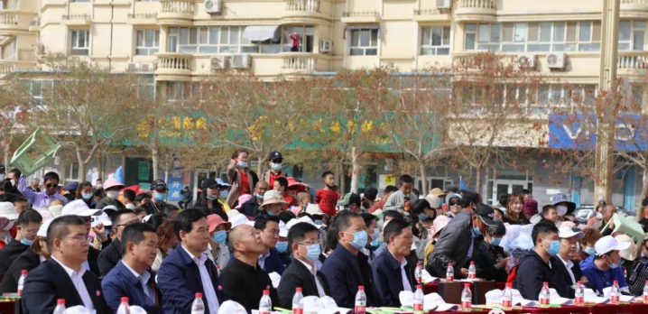 阿拉爾市第三屆沙漠櫻花旅游文化節正在進行中