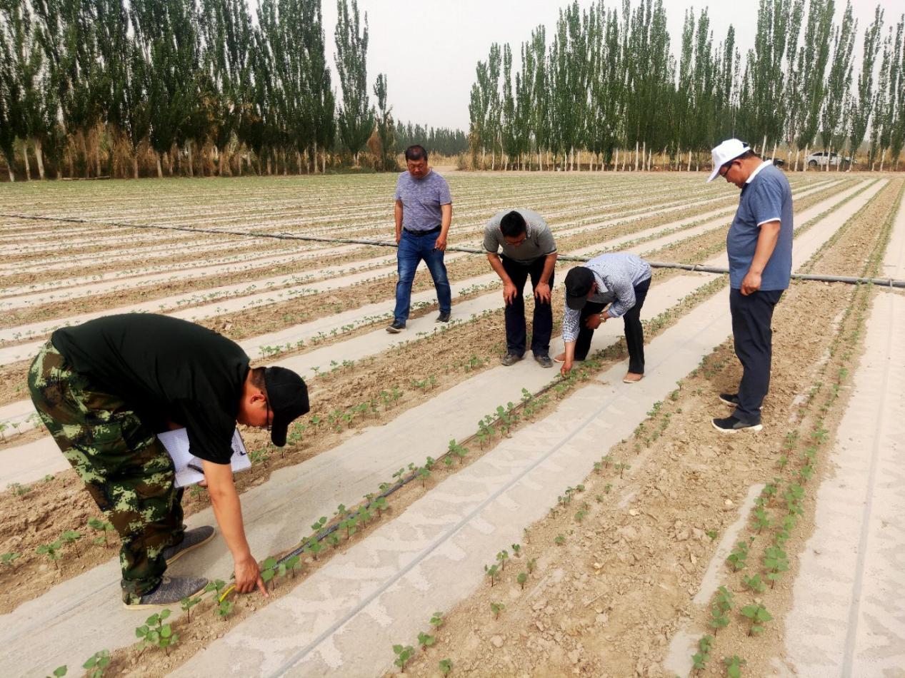 新農(nóng)開發(fā)公司踐行初心使命服務(wù)農(nóng)戶