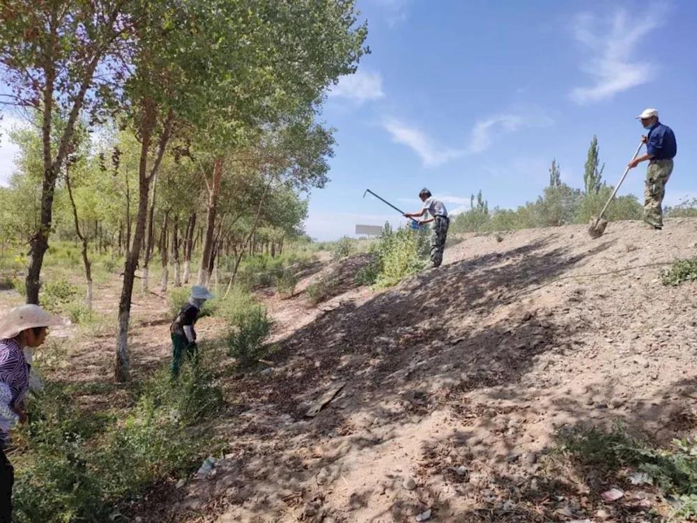 黨史學習教育，促人居環境面貌持續提升