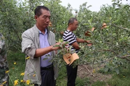 六團(tuán)六連黨支部開展“我為群眾辦實事”主題黨日活動