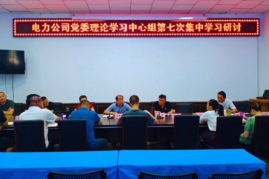 電力公司黨委舉辦理論學習中心組專題學習暨黨史學習教育專題讀書班