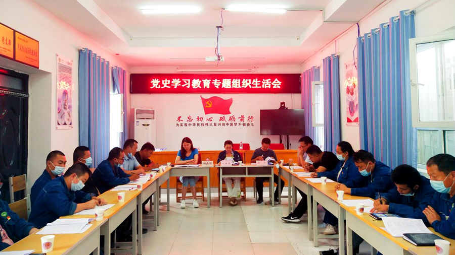 電力公司各黨支部開展黨史學習教育專題組織生活會