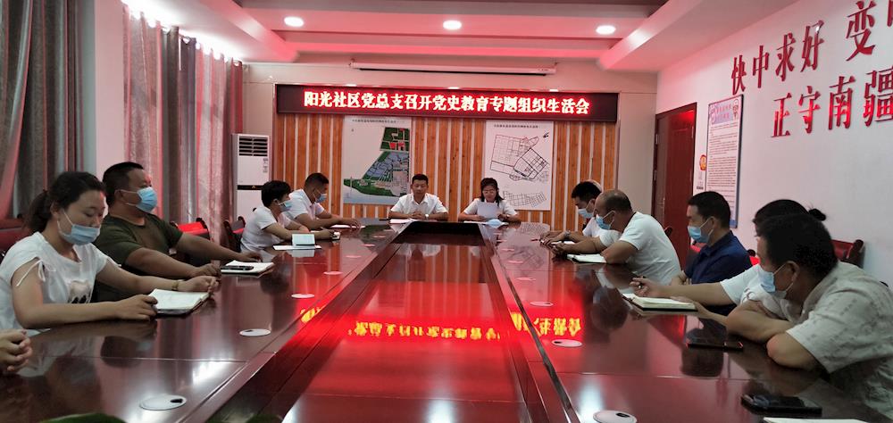 陽光社區黨總支召開黨史學習教育專題組織生活會