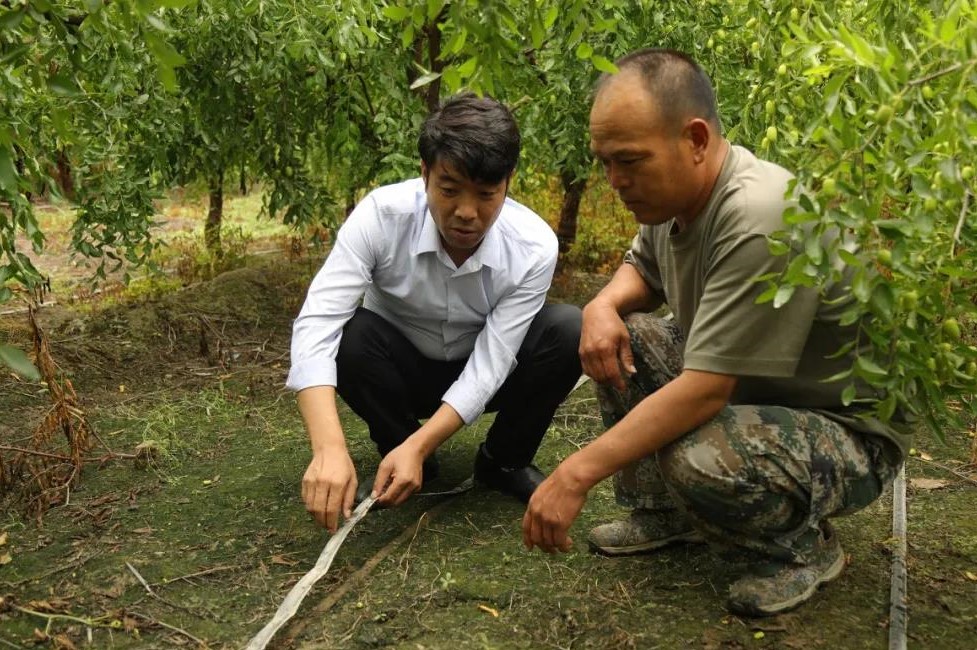 十四團：發展綠色生態循環農業 助推鄉村產業振興