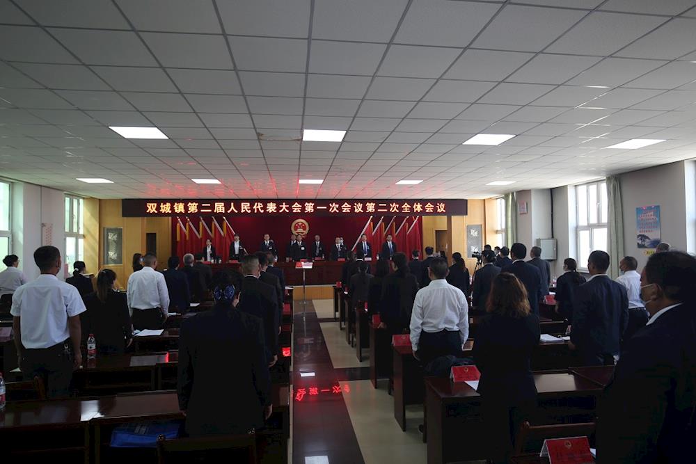 阿拉爾市雙城鎮第二屆人民代表大會順利召開