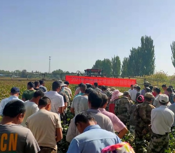 六團召開2021年棉花噴施脫葉劑現場會