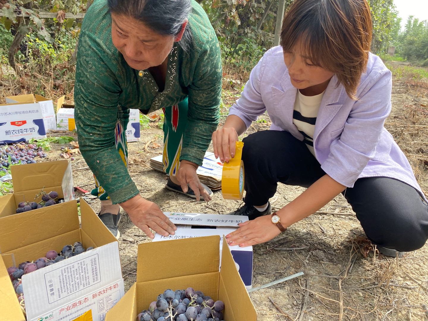 【我為群眾辦實事】托峰冰川牧業開展消費扶貧 助力農戶增收