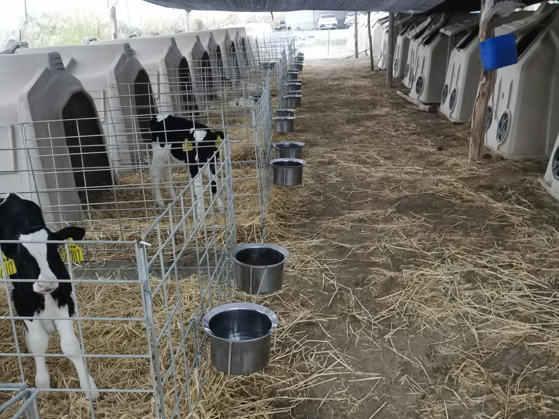 精細化養殖 科學化管理