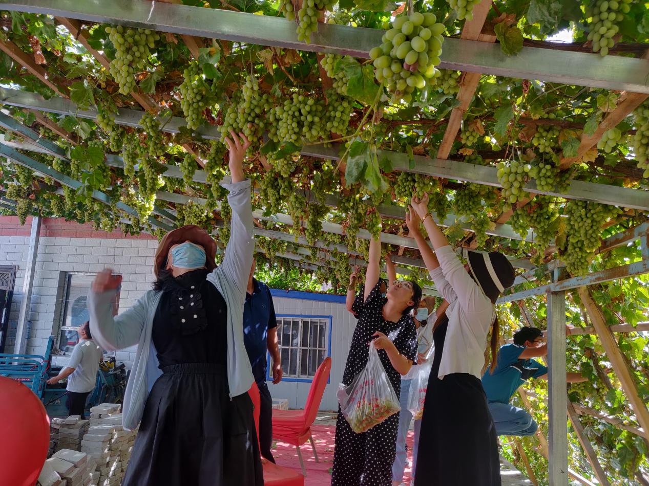 雪中送炭顯真情民族團結一家親