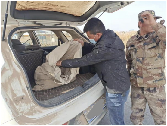 師市自然資源和規劃局（林業和草原局）聯合公安局開展“涉林草行業違法行為”專項檢查活動