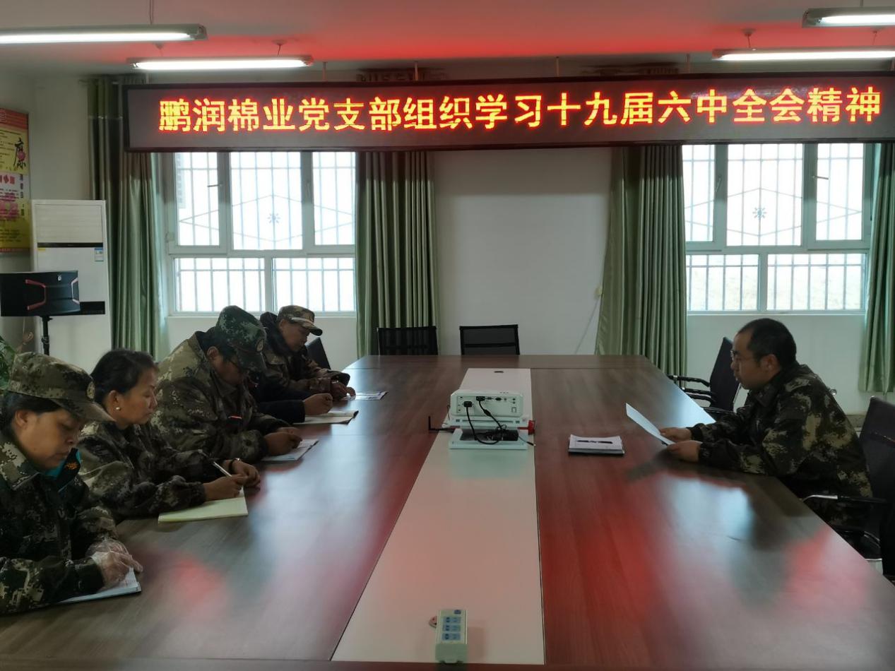 鵬潤棉業黨支部認真學習黨的十九屆六中全會精神