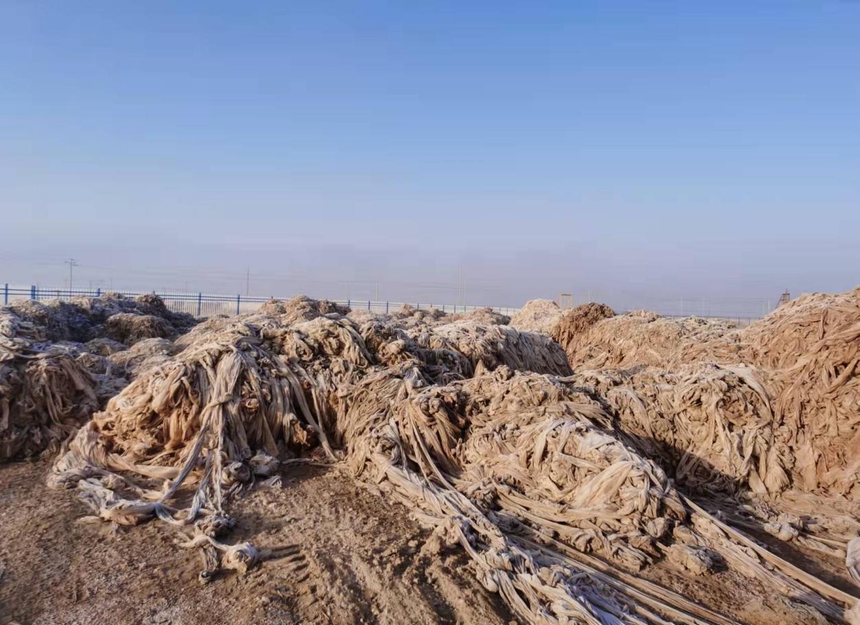 三五九農發公司扎實推進殘膜回收工作