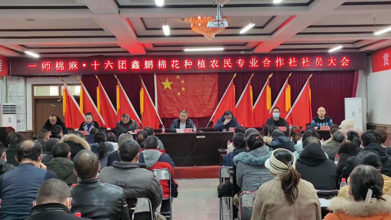 鵬鑫棉業合作社為社員發放補貼