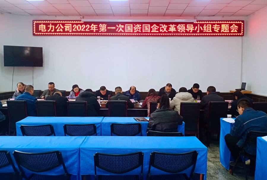 電力公司召開2022年第一次國資國企改革領(lǐng)導(dǎo)小組專題會