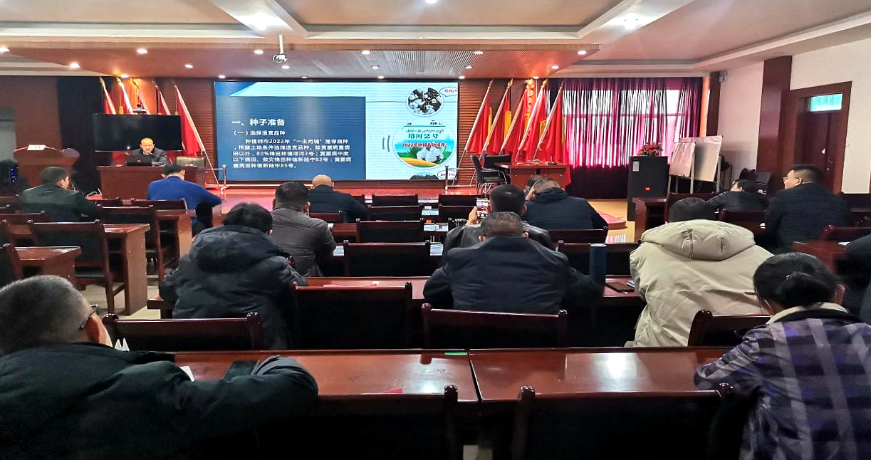 技術培訓為棉花生產提質增效保駕護航