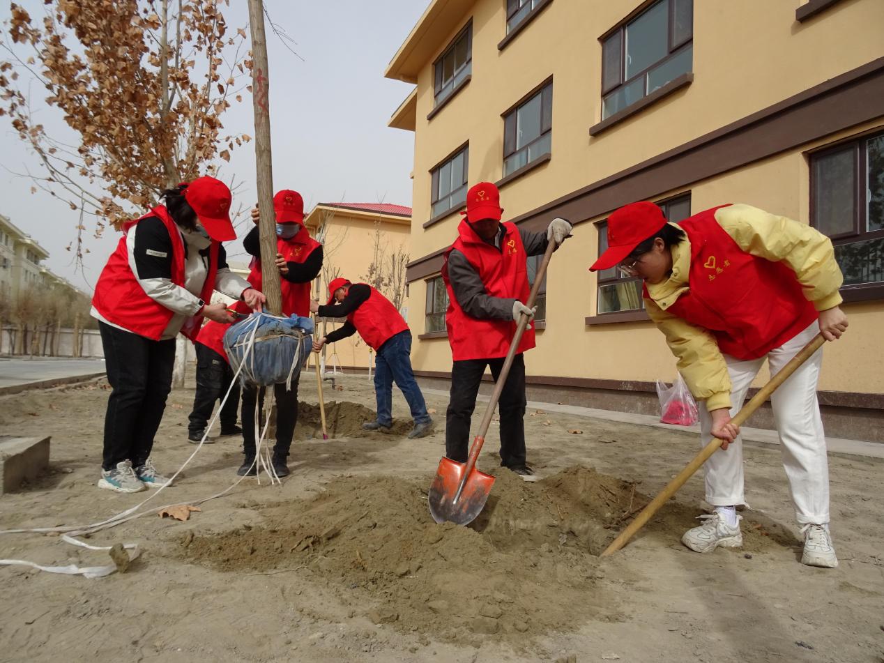 開展義務植樹，共建綠色家園