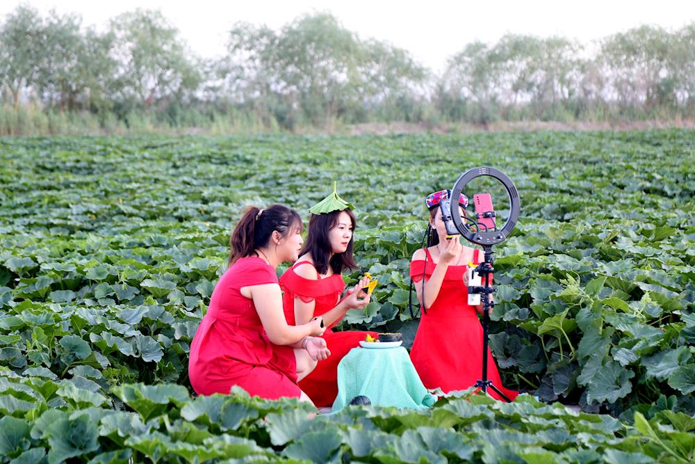 十一團(tuán)：構(gòu)建電商發(fā)展格局，推動(dòng)電商惠農(nóng)富農(nóng)