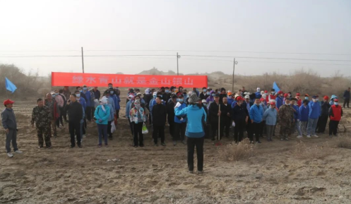 十二團開展植樹添新綠 不負好春光!  組織600余名志愿者開展植樹活動