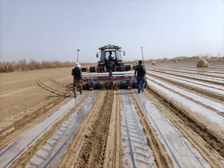 【我為群眾辦實(shí)事】鵬錦棉業(yè)用實(shí)際行動(dòng)助推春耕春播