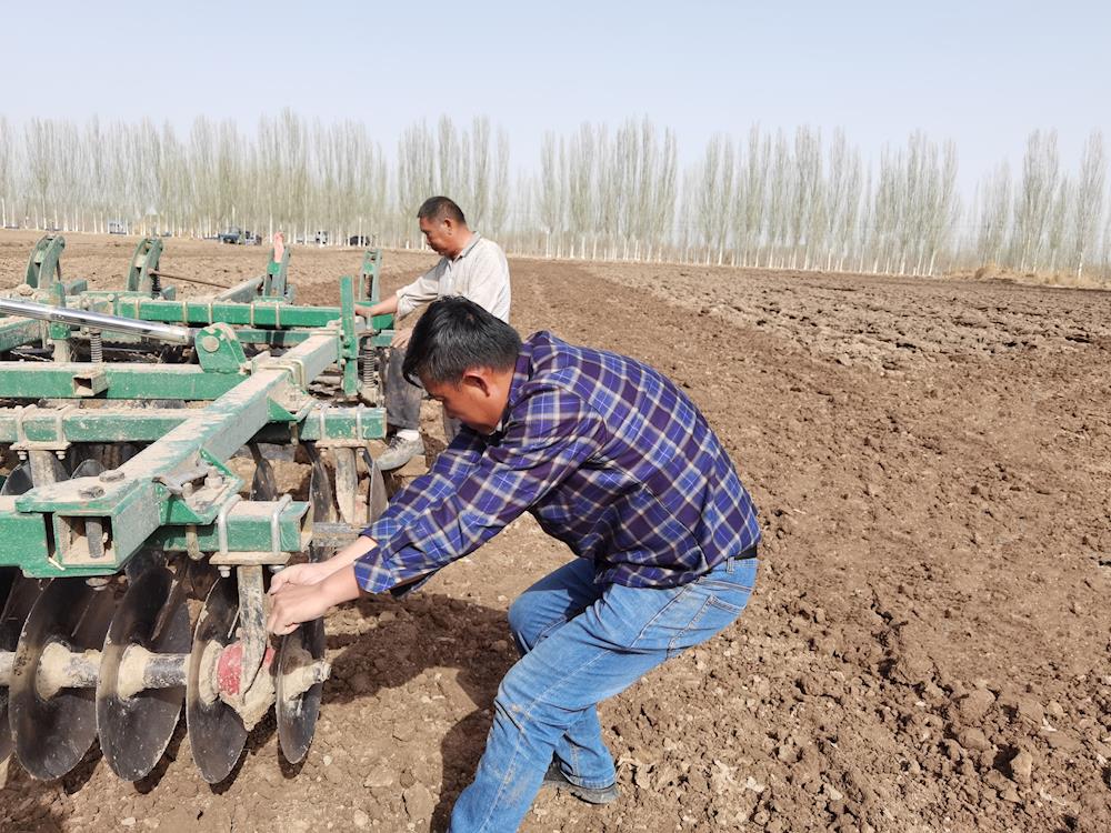 五團干群合力忙春耕