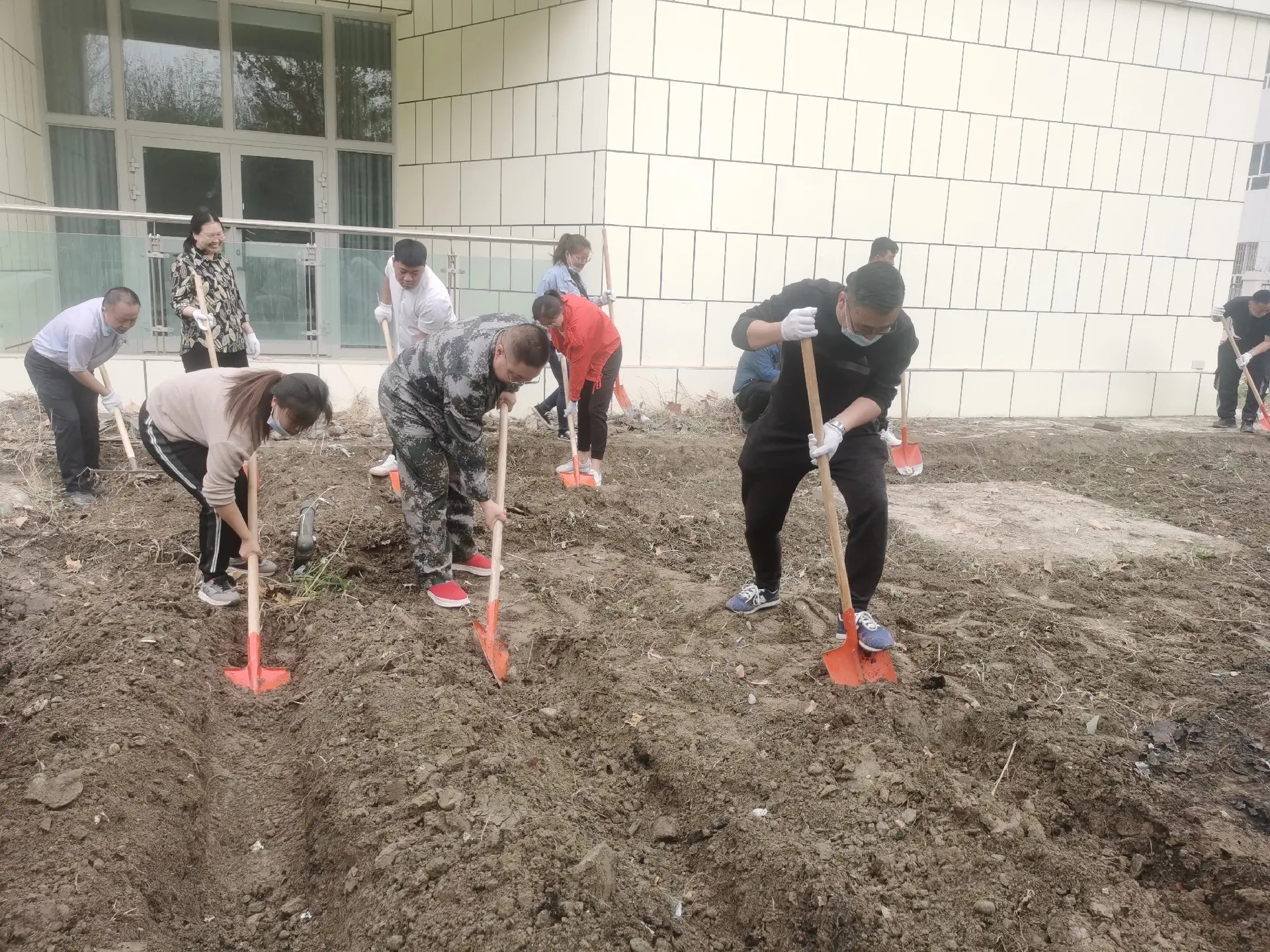 不負(fù)春光向陽(yáng)行，種菜添綠正當(dāng)時(shí)