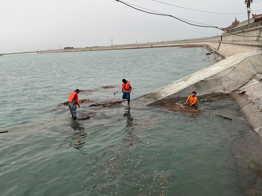 加強水源地生態治理，還其碧水藍天          --多浪水庫水源保護地清理整治