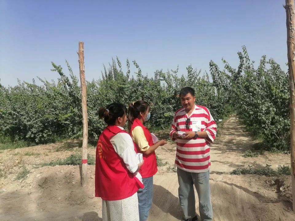 新時代文明實踐夏送清涼暖人心