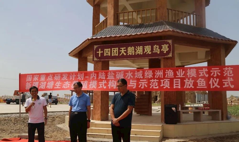 十四團(tuán)：鹽堿水里養(yǎng)魚 致富與 修復(fù)生態(tài)兩不誤