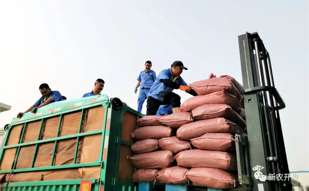 新農(nóng)甘草公司黨支部：主題黨日 助力生產(chǎn)經(jīng)營   