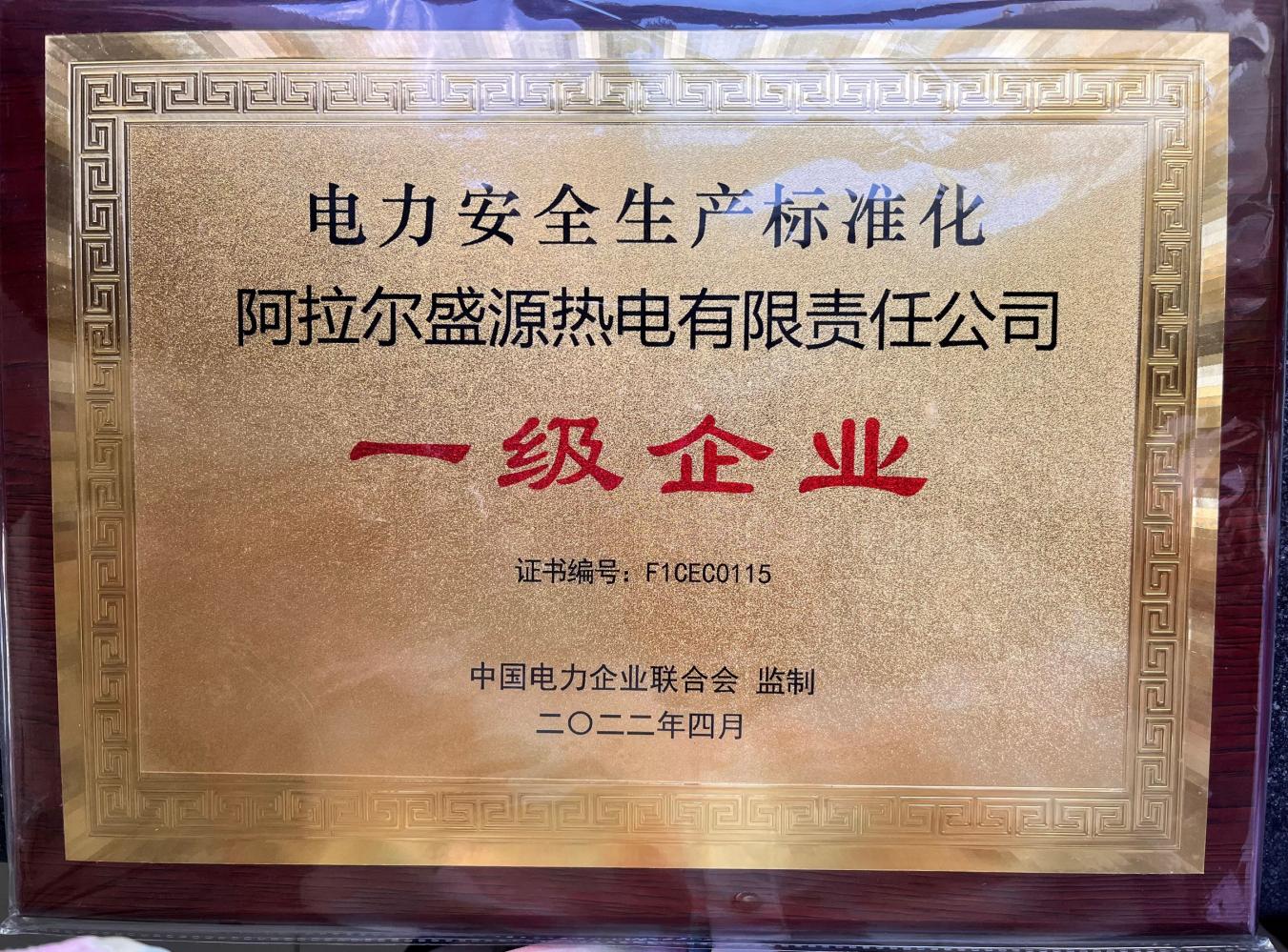 阿拉爾盛源熱電有限責任公司榮獲 “電力安全生產標準化一級企業”稱號