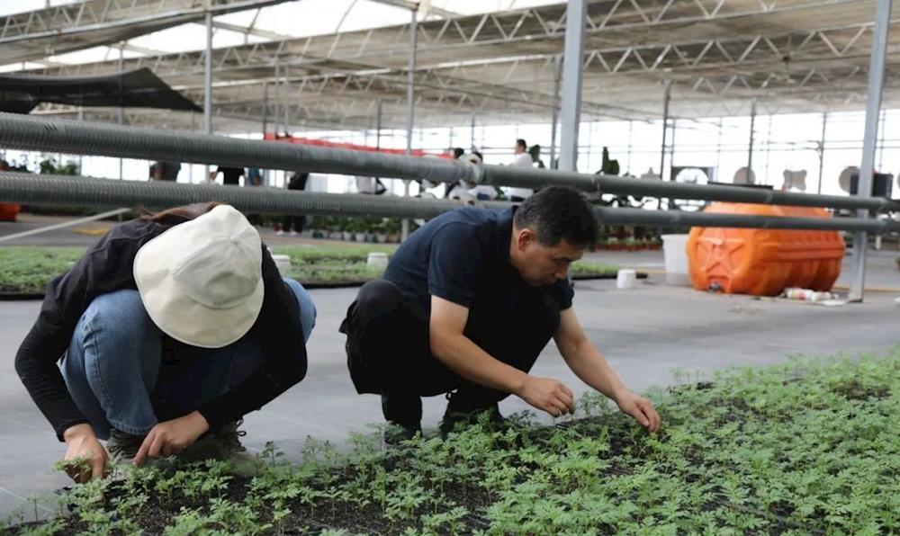 十四團(tuán)機(jī)關(guān)黨支部開展 與時(shí)代同行 助力鄉(xiāng)村振興 主題黨日活動(dòng)