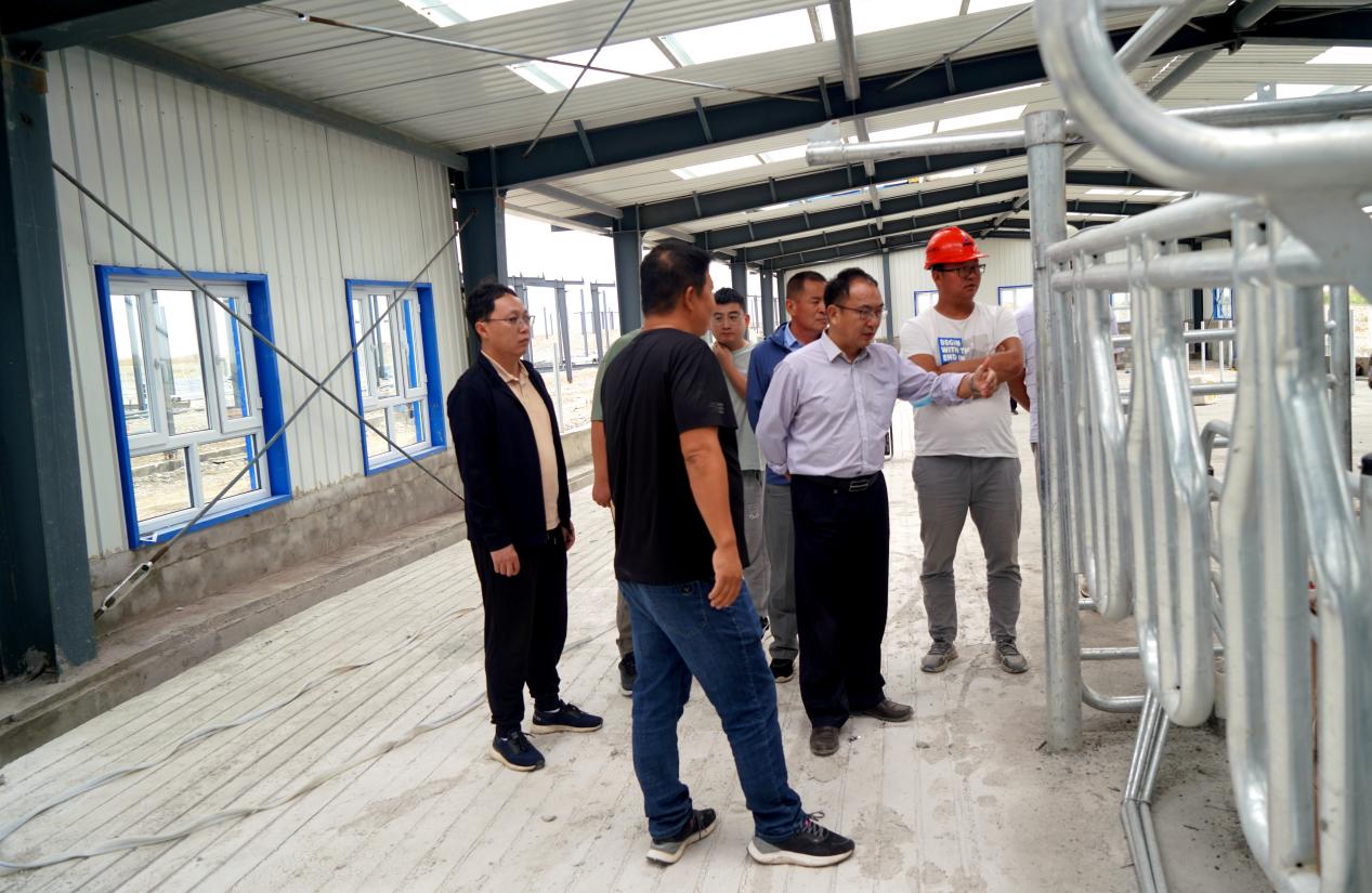 新農開發全力以赴推進公司重大項目建設