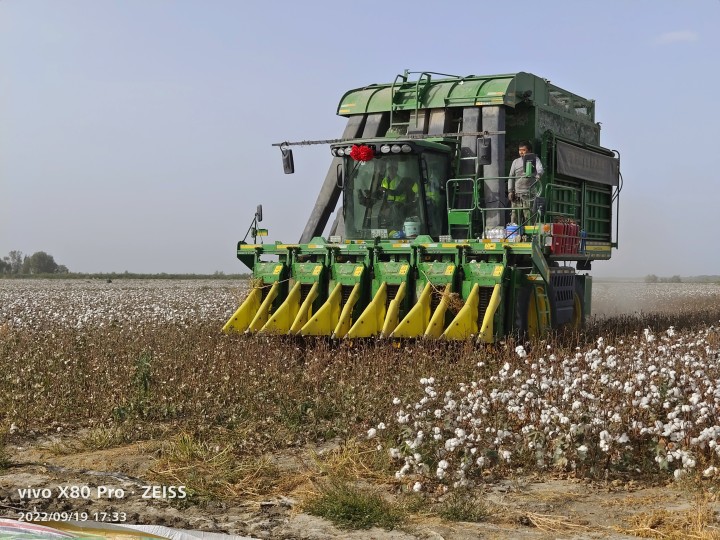 鵬運棉業2022年新棉采摘收購工作正式拉開帷幕   