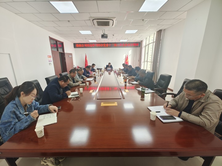 棉麻公司學習傳達師市黨委第十二屆三次全會精神