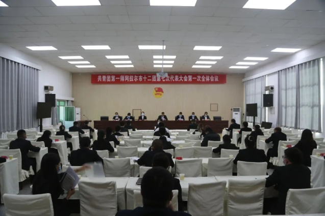 共青團第一師阿拉爾市十二團第七次代表大會勝利召開