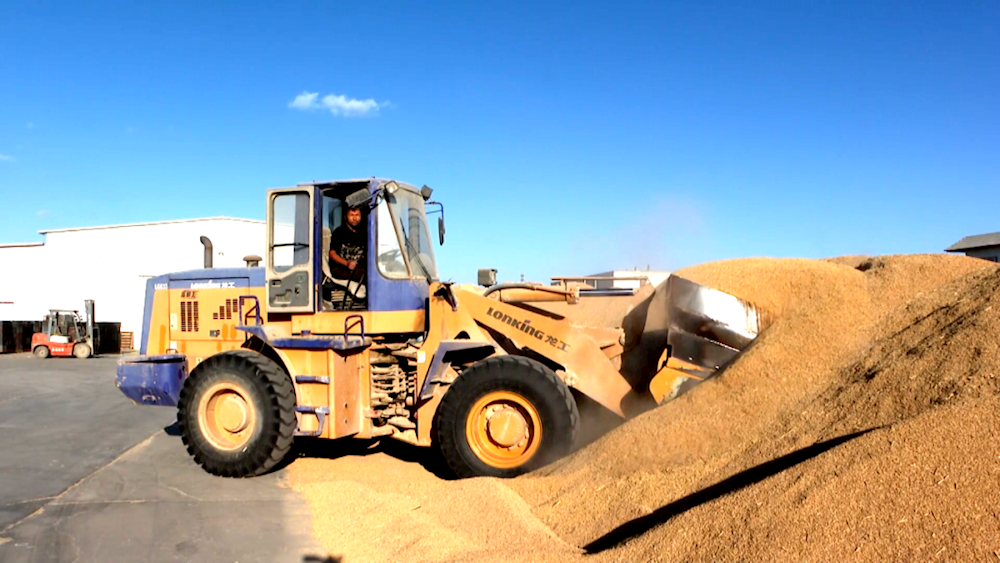 一團沙漠御米業開足馬力忙生產  保障“米袋子”市場供應