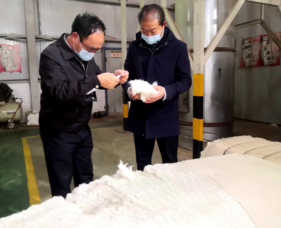 新農開發黨委書記、董事長、總經理唐建國一行深入塔河種業加工車間檢查指導工作