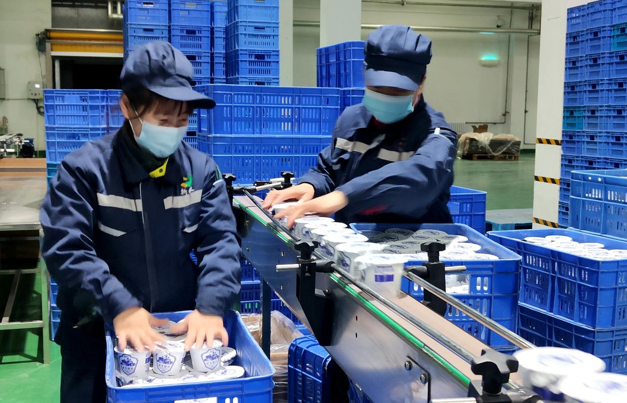 新農乳業公司開足馬力備戰春節市場