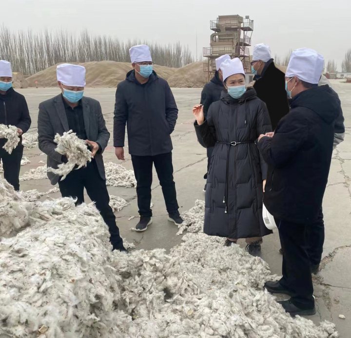新疆多家棉花加工企業赴一師鵬發棉業開展技術交流