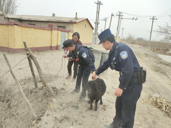 幫助群眾找回丟失羊只